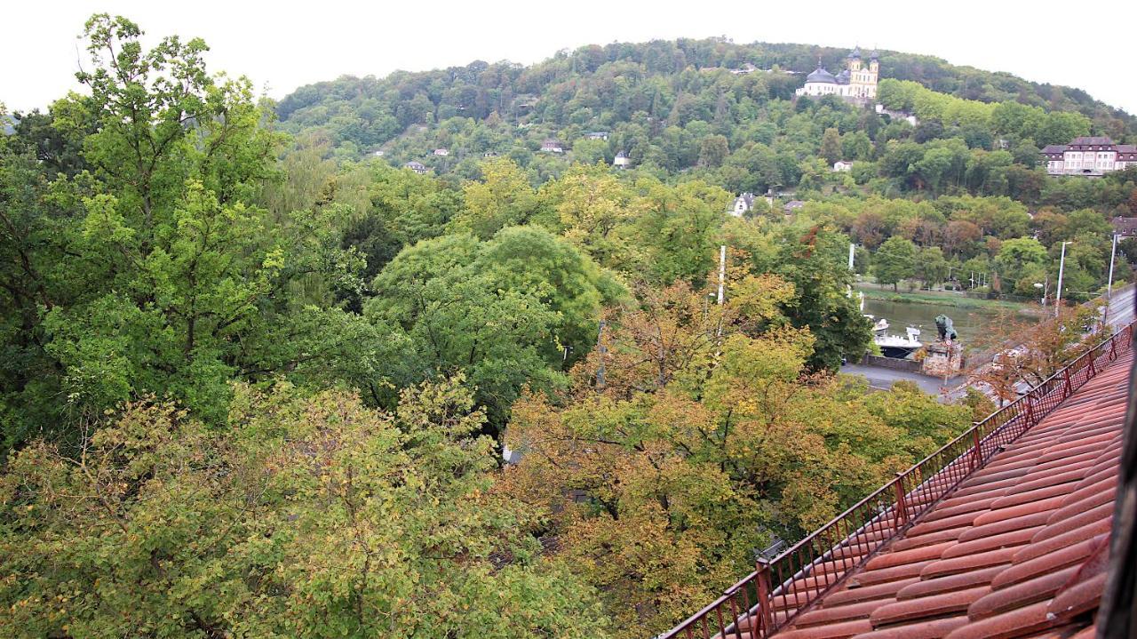 Zentrale Stadtwohnung - direkt am Main, Park-Ausblick Würzburg Exterior foto
